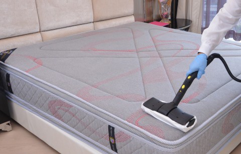 steam cleaner mattress